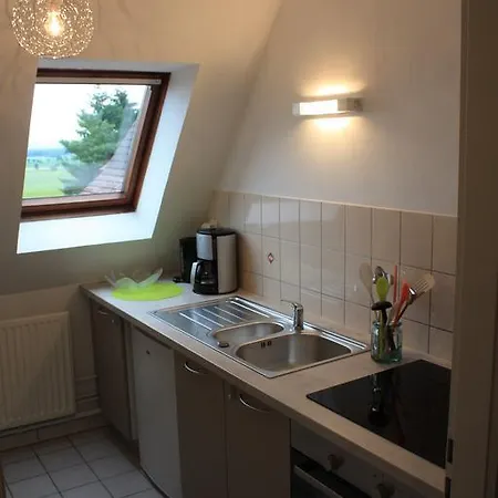 Lejlighed Le Coeur Des Ribeaupierres *