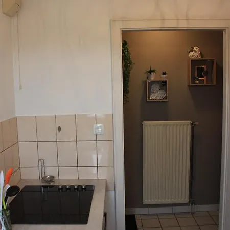 Le Coeur Des Ribeaupierres * Ribeauvillé